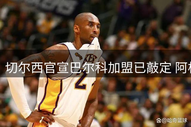 切尔西官宣巴尔科加盟已敲定 阿根廷新星即将亮相英超